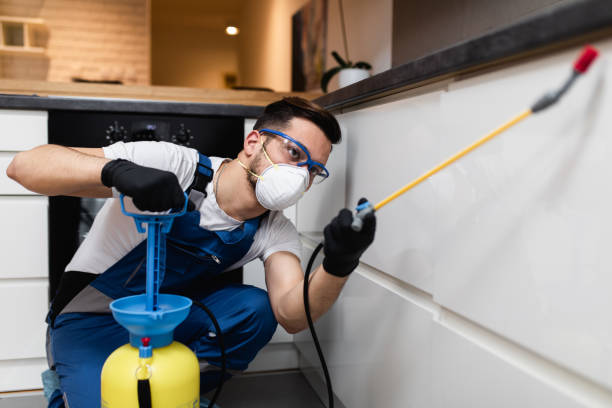 Flea Control Services in West Pittston, PA