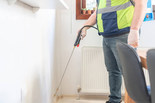 Trusted West Pittston, PA Pest Control Experts