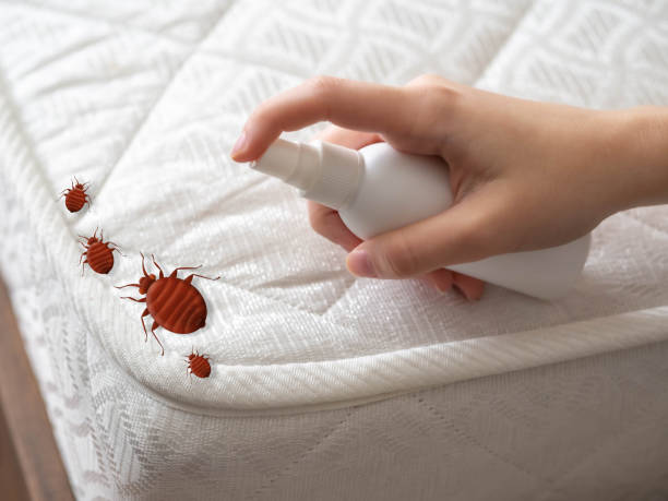 Best Flea Control Services  in West Pittston, PA